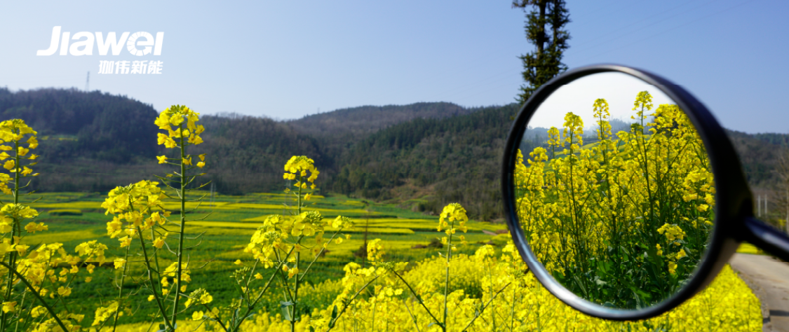 “十五五”新能源发展目标敲定、‘“三北”风电光伏基地加紧规划……