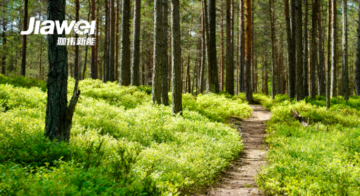电力中长期市场新规、四川独立储能/虚拟电厂报价不进行分档……